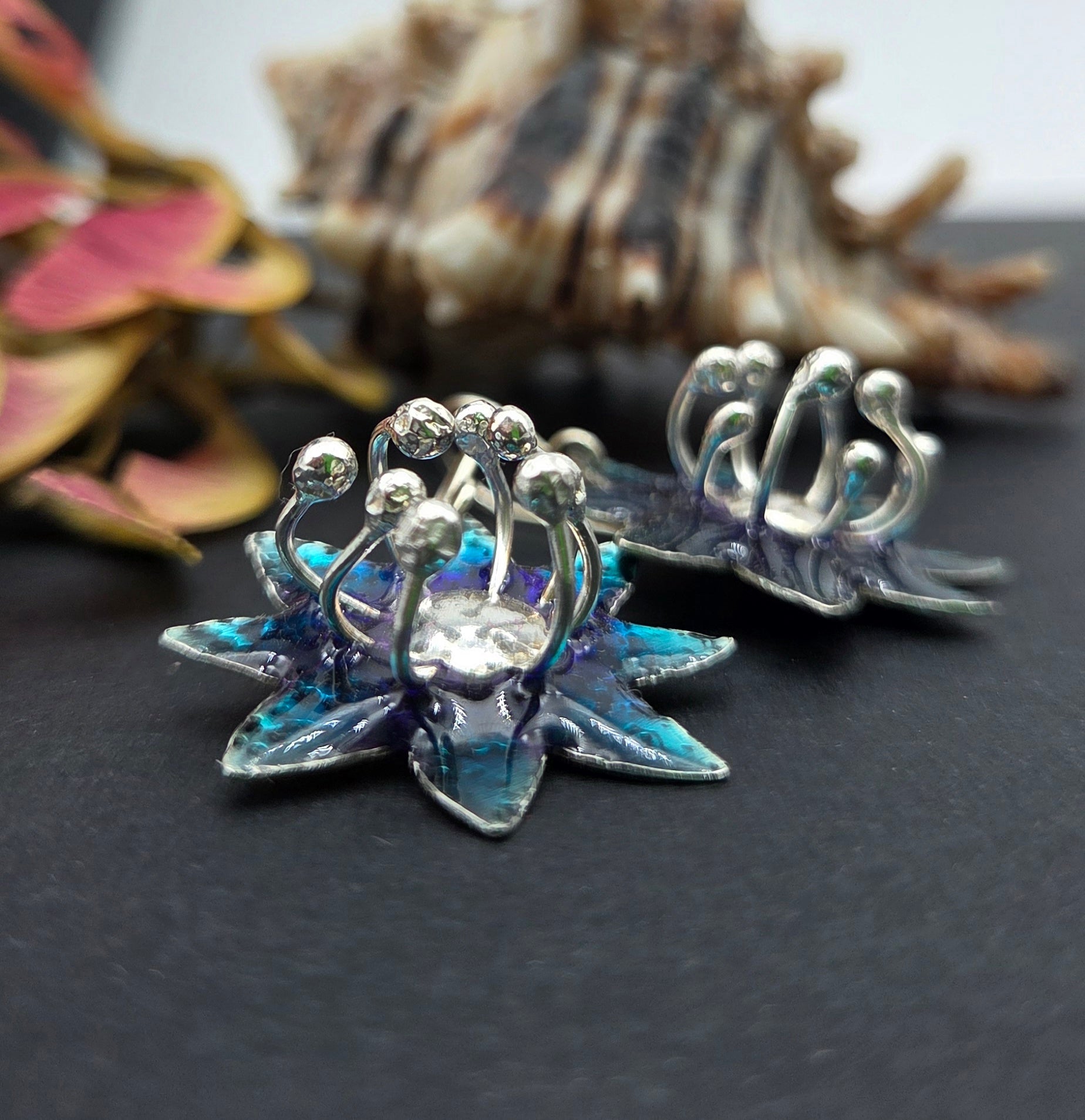 Colección Nature